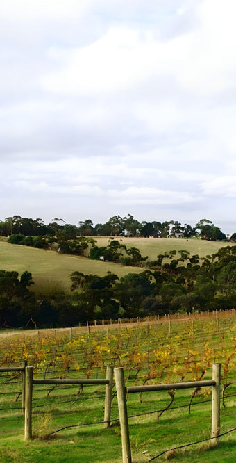 Arundel Hero Image Mobile